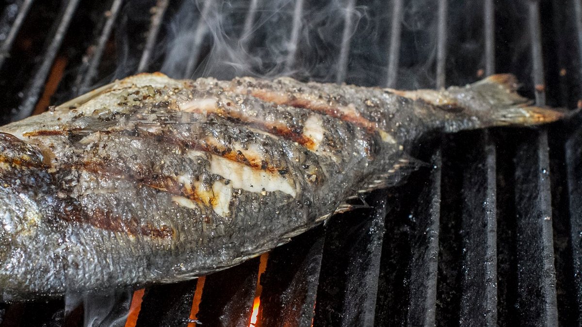 דקא מסעדת דגים כשרה בתל אביב מומלצת