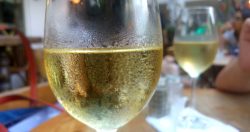 יינות כשרים מומלצים – לבנים ורוזה