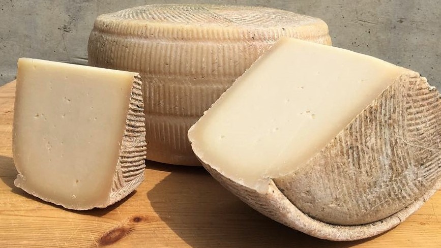 גבינות חדשות של מחלבת בארי שבועות 2018